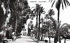 Laghouat - Rue de Sonis